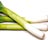 Leek